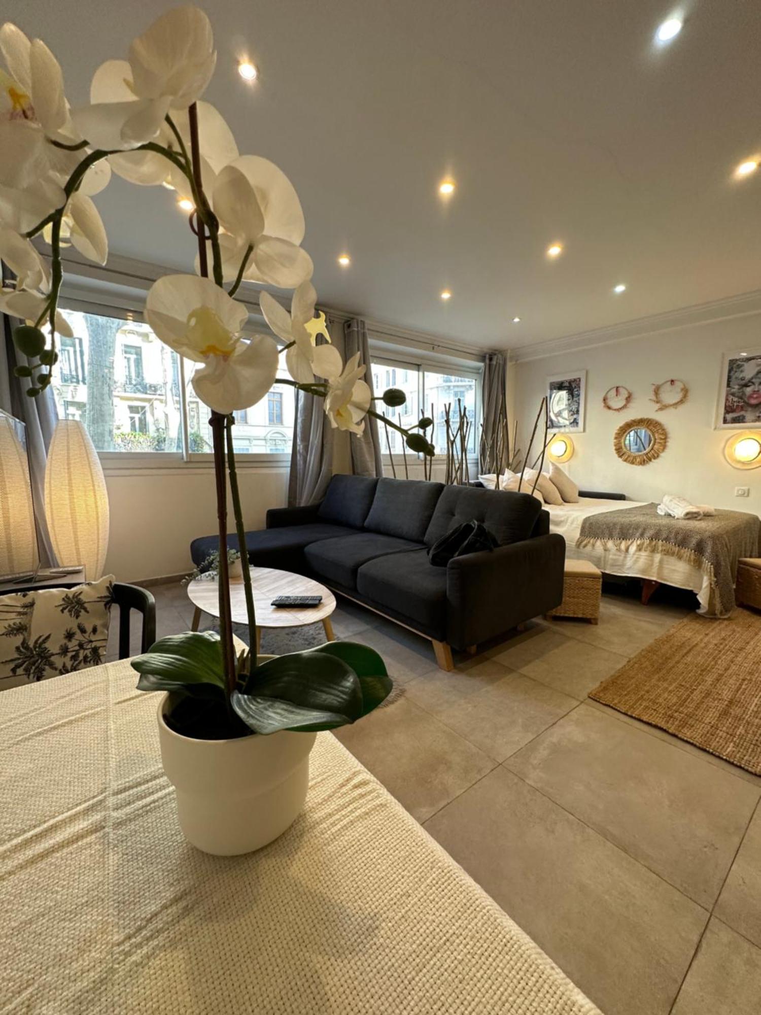 Grand Studio Cosy Cannes Centre ภายนอก รูปภาพ
